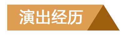 演出经历