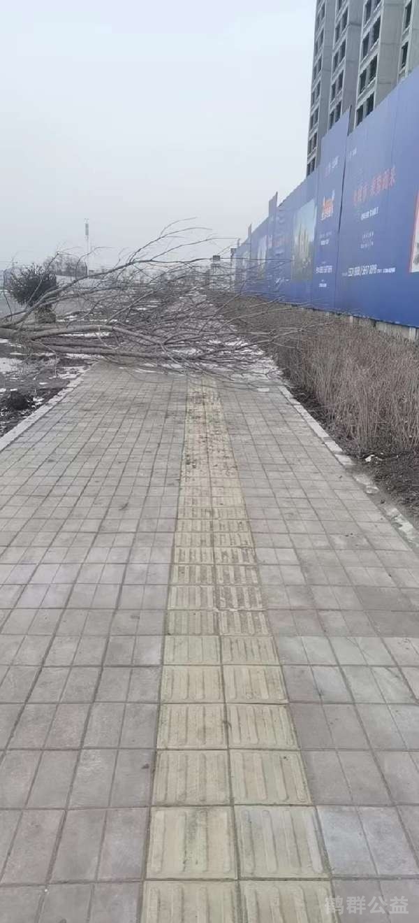 盲道问题反馈图