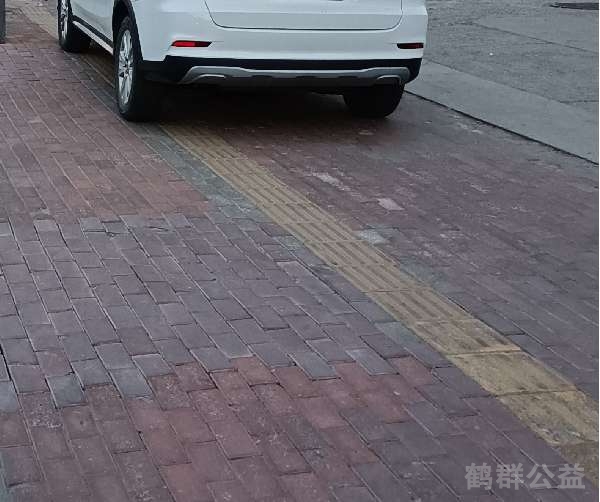 盲道问题反馈图