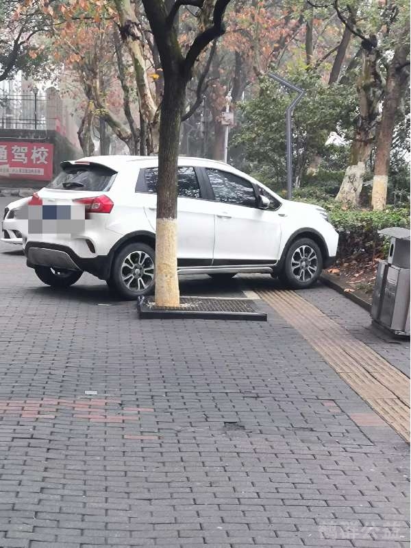 盲道问题反馈图