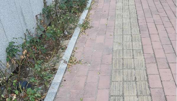 盲道问题处理后图片