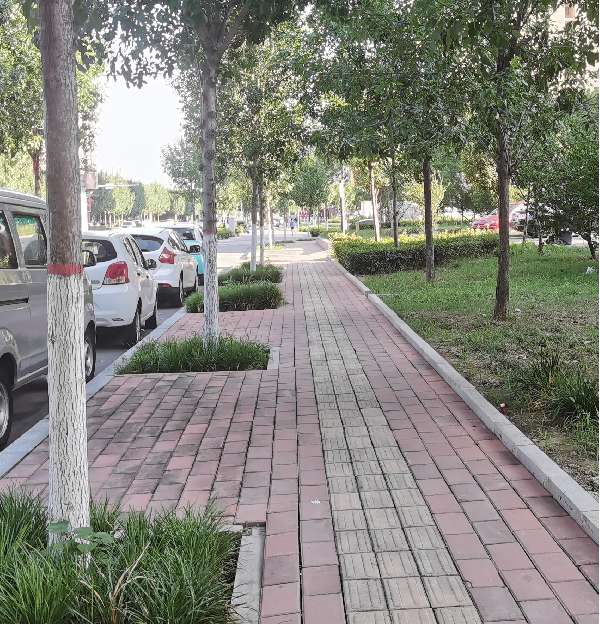 盲道问题处理后图片