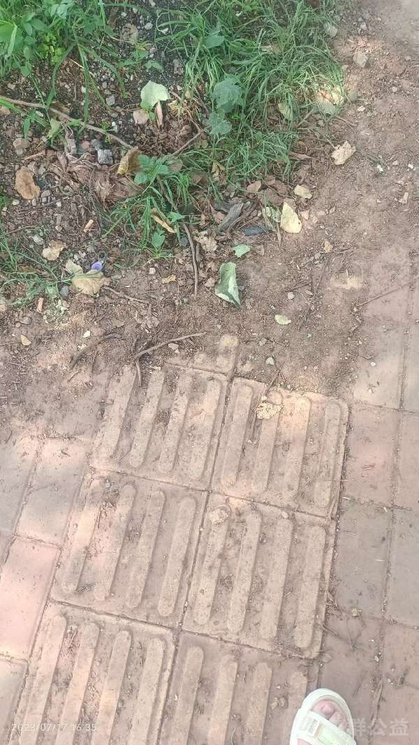 盲道问题反馈图