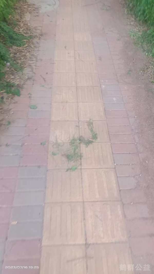 盲道问题反馈图