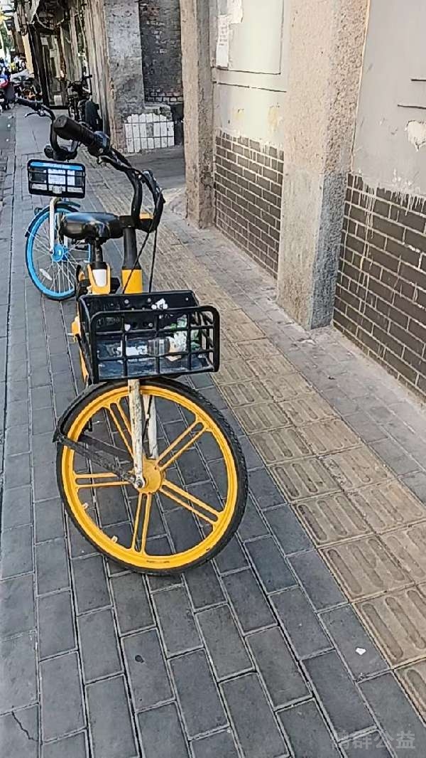 盲道问题处理后图片