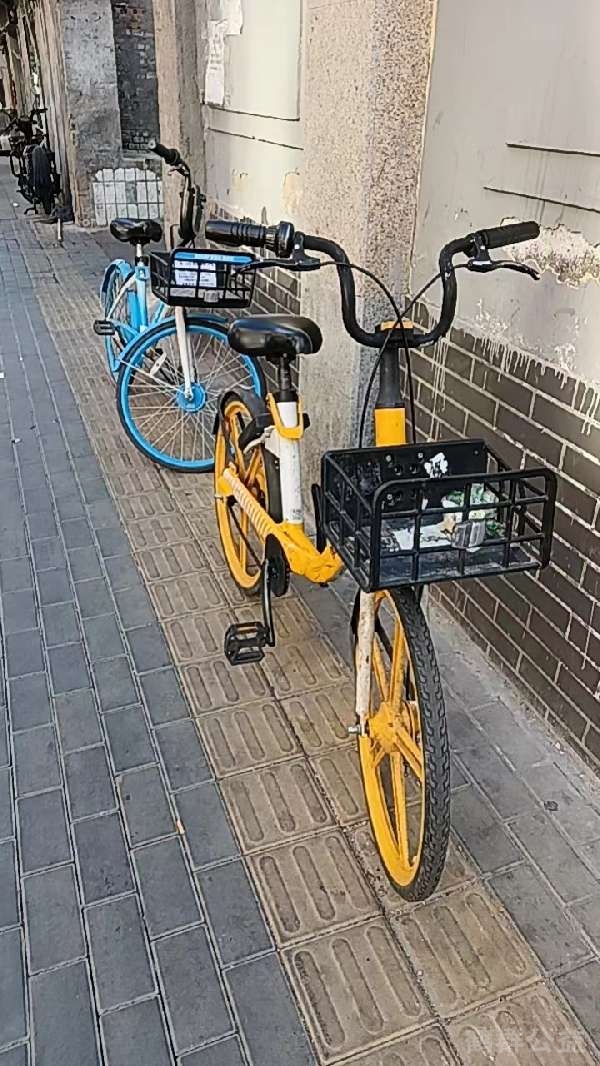 盲道问题反馈图