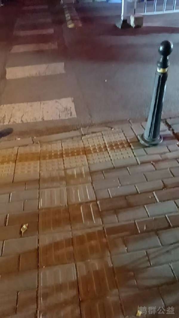 盲道问题处理后图片