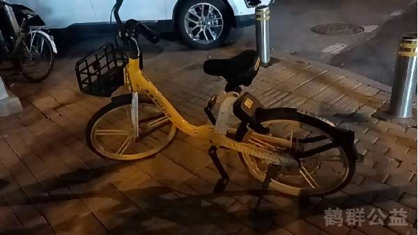 盲道问题反馈图