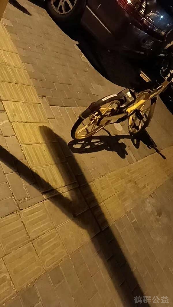 盲道问题处理后图片