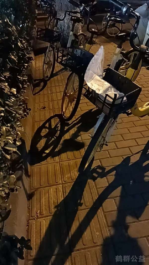 盲道问题反馈图