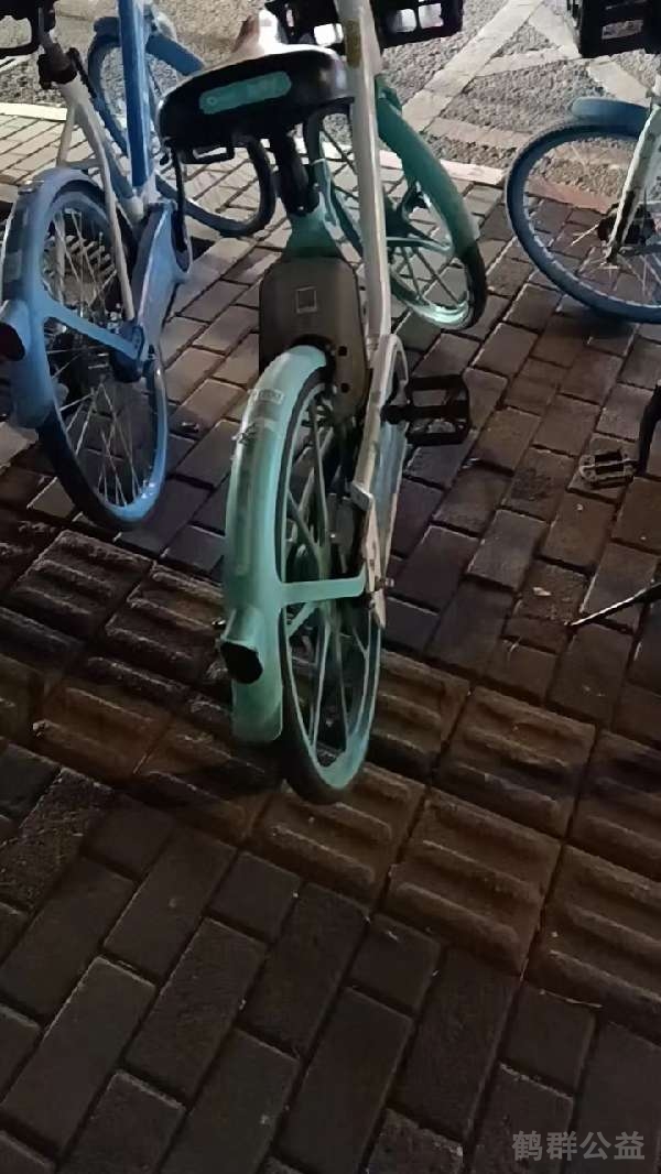 盲道问题反馈图
