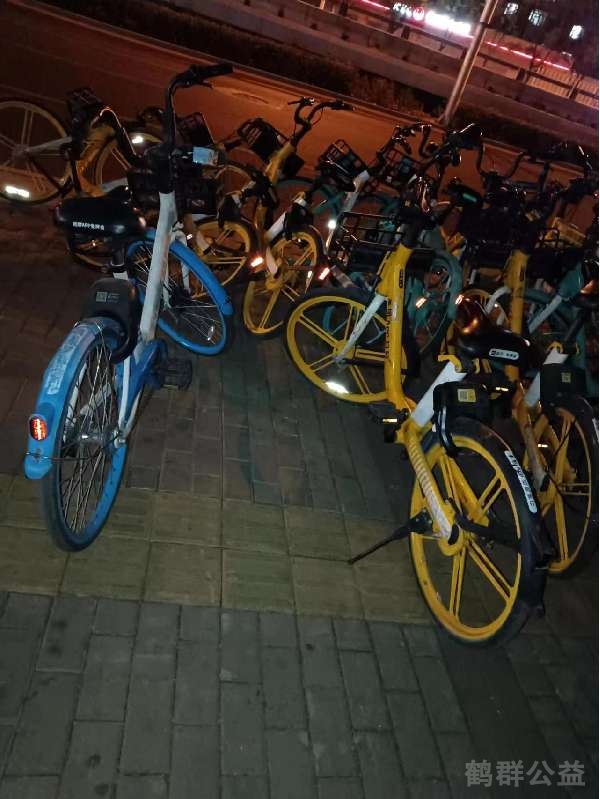 盲道问题反馈图