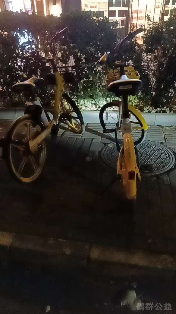 盲道问题反馈图