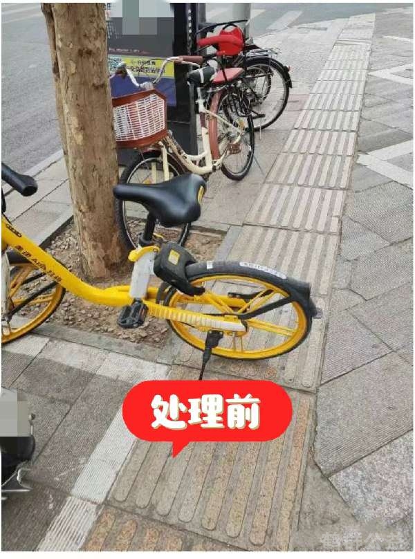 盲道问题反馈图