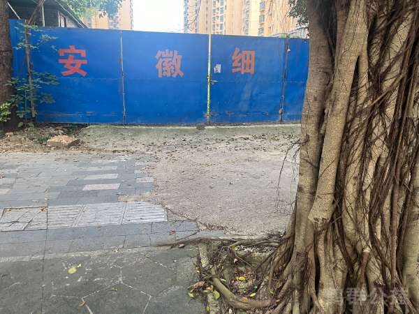 盲道问题反馈图