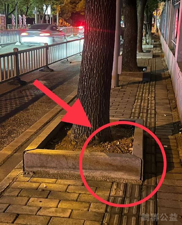 盲道问题反馈图