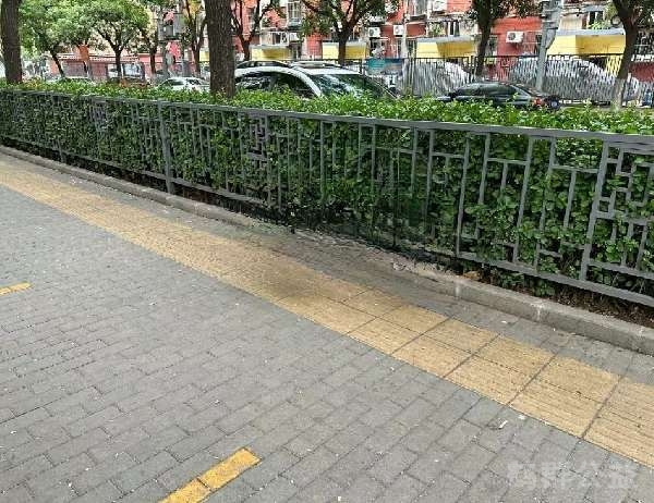 盲道问题处理后图片