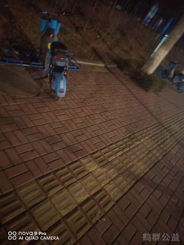 盲道问题处理后图片