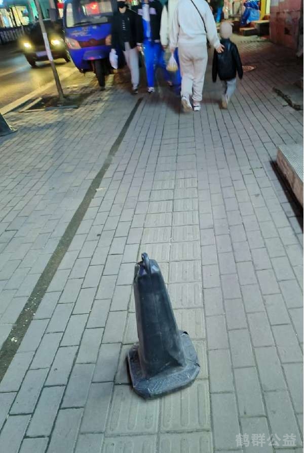 盲道问题反馈图