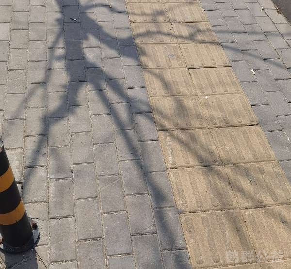 盲道问题处理后图片