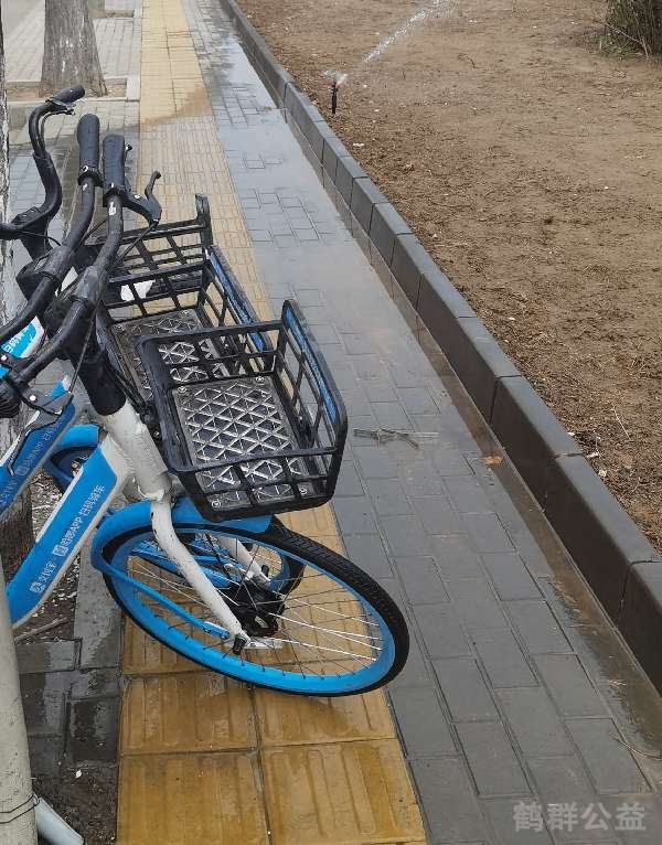 盲道问题反馈图