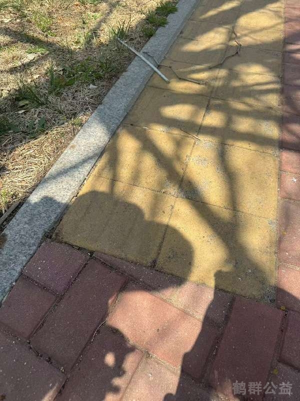 盲道问题反馈图