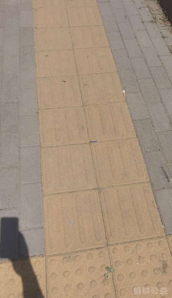 盲道问题处理后图片