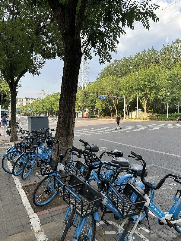 盲道问题处理后图片