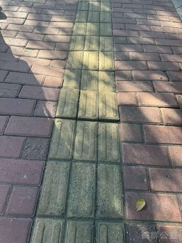 盲道问题反馈图