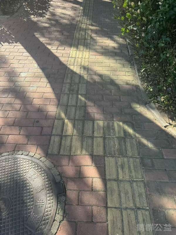 盲道问题反馈图