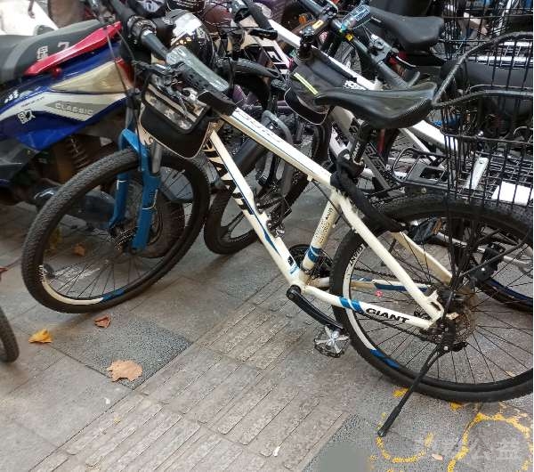 盲道问题反馈图