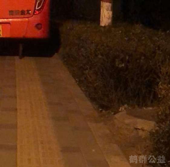 盲道问题反馈图