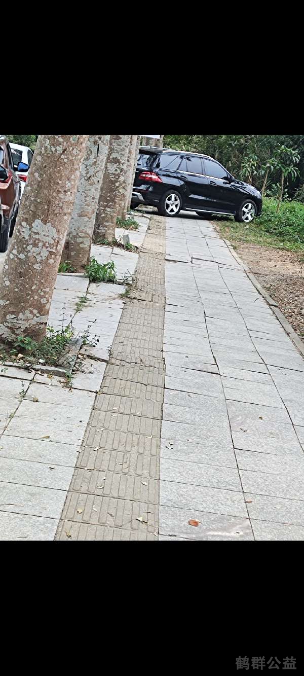 盲道问题反馈图