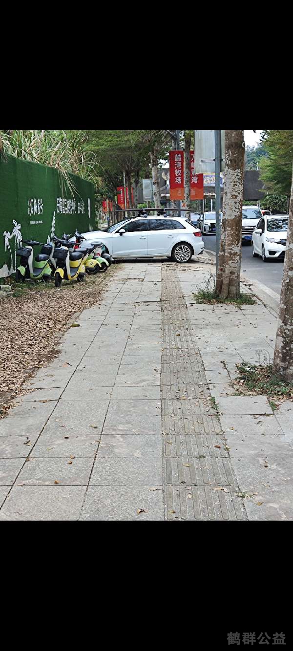 盲道问题反馈图