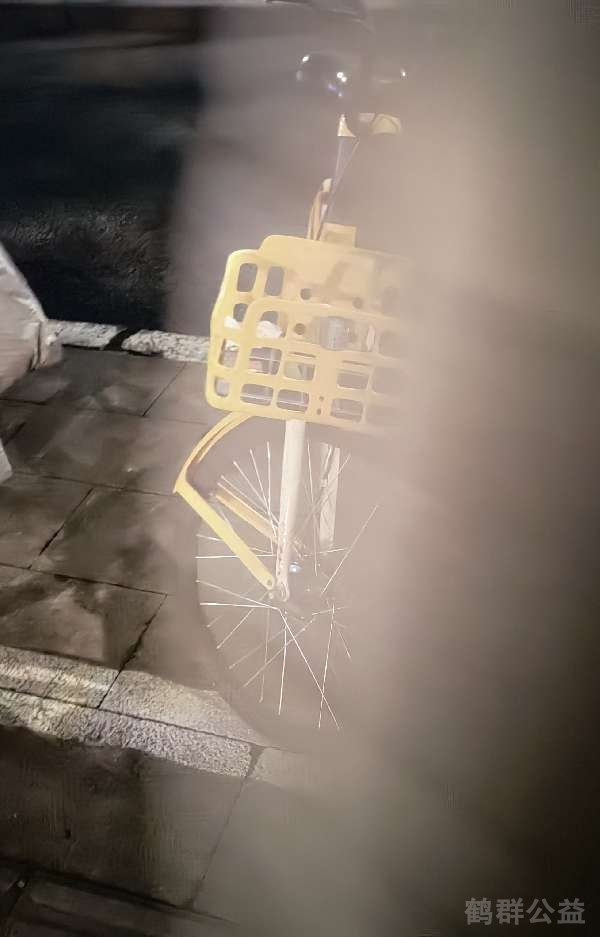 盲道问题处理后图片