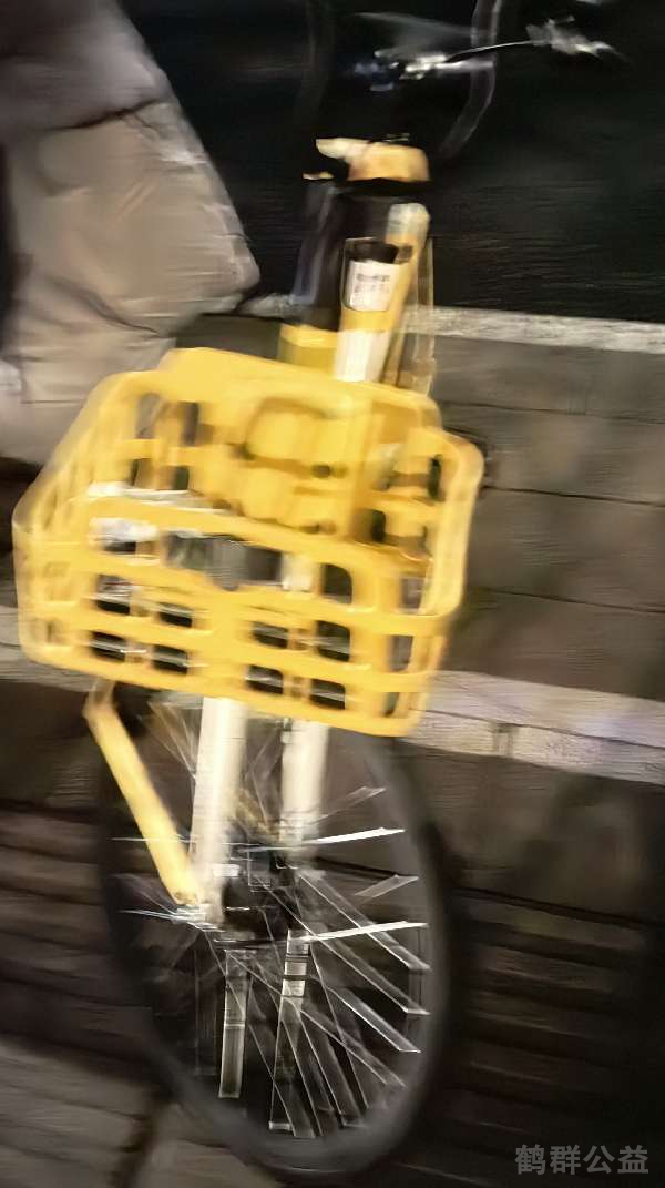 盲道问题反馈图