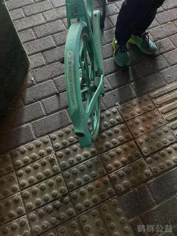 盲道问题反馈图