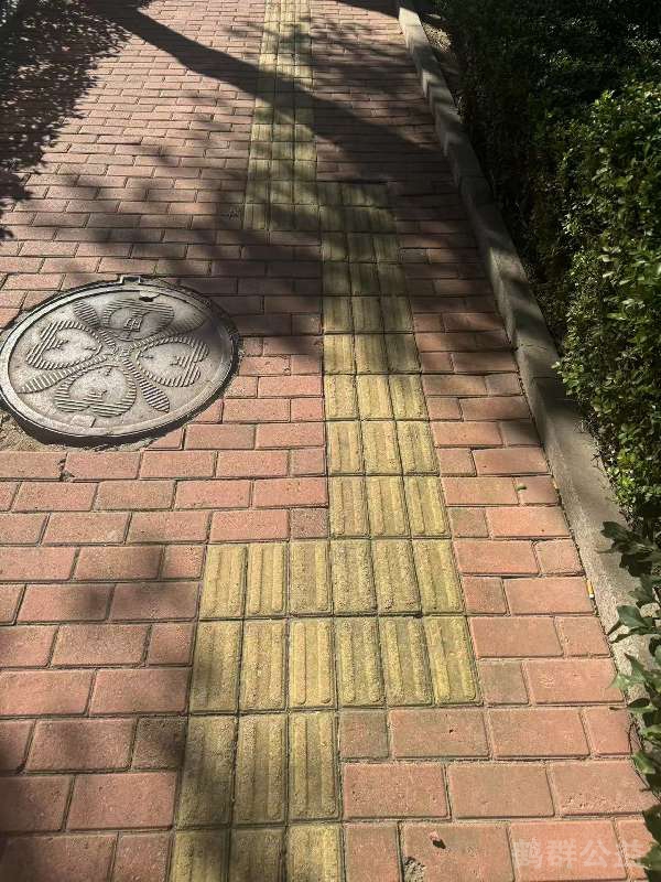 盲道问题反馈图