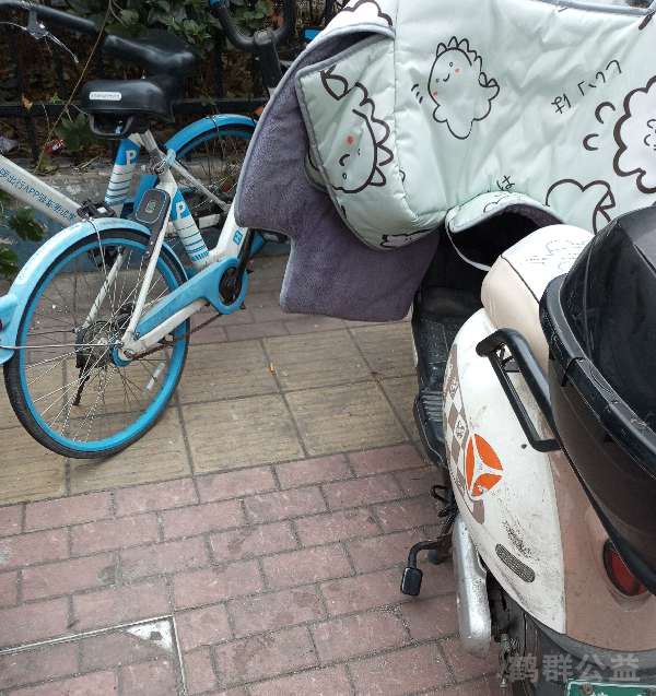盲道问题反馈图
