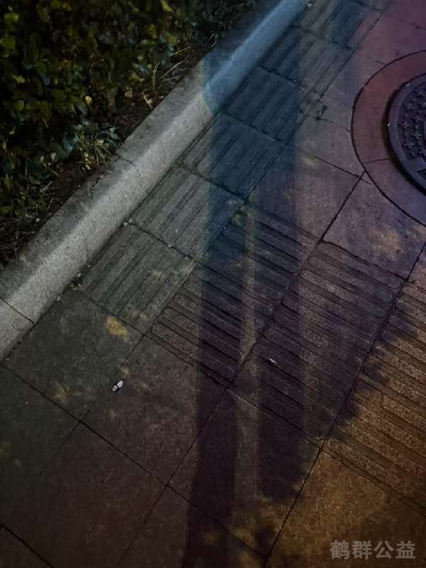 盲道问题反馈图