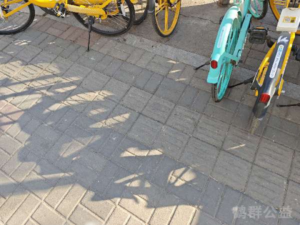 盲道问题处理后图片