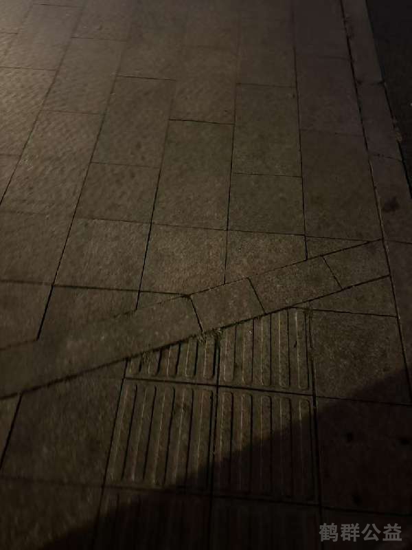 盲道问题反馈图