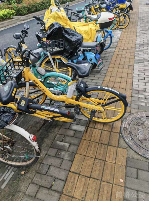 盲道问题反馈图