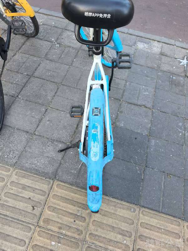 盲道问题反馈图
