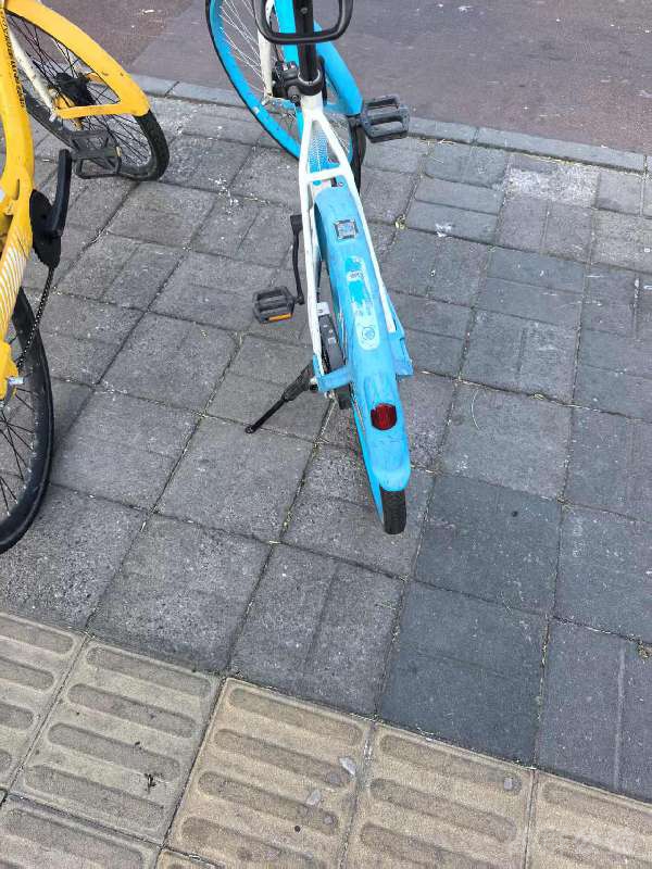 盲道问题处理后图片
