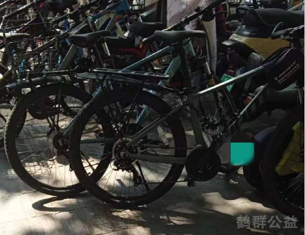 盲道问题反馈图