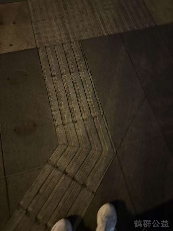 盲道问题反馈图