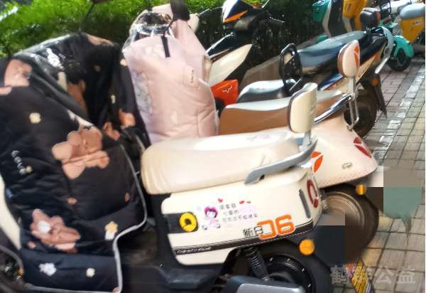 盲道问题反馈图