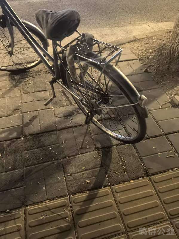 盲道问题处理后图片