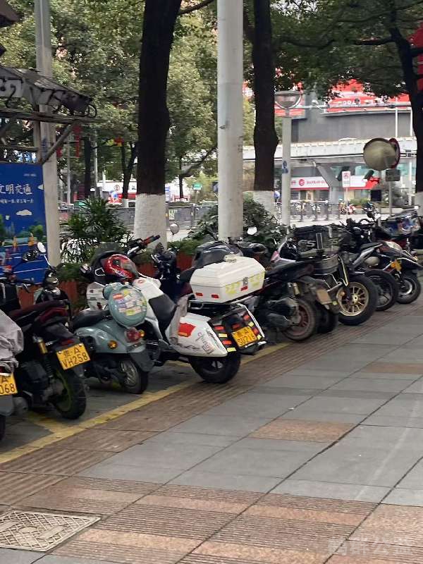 盲道问题反馈图